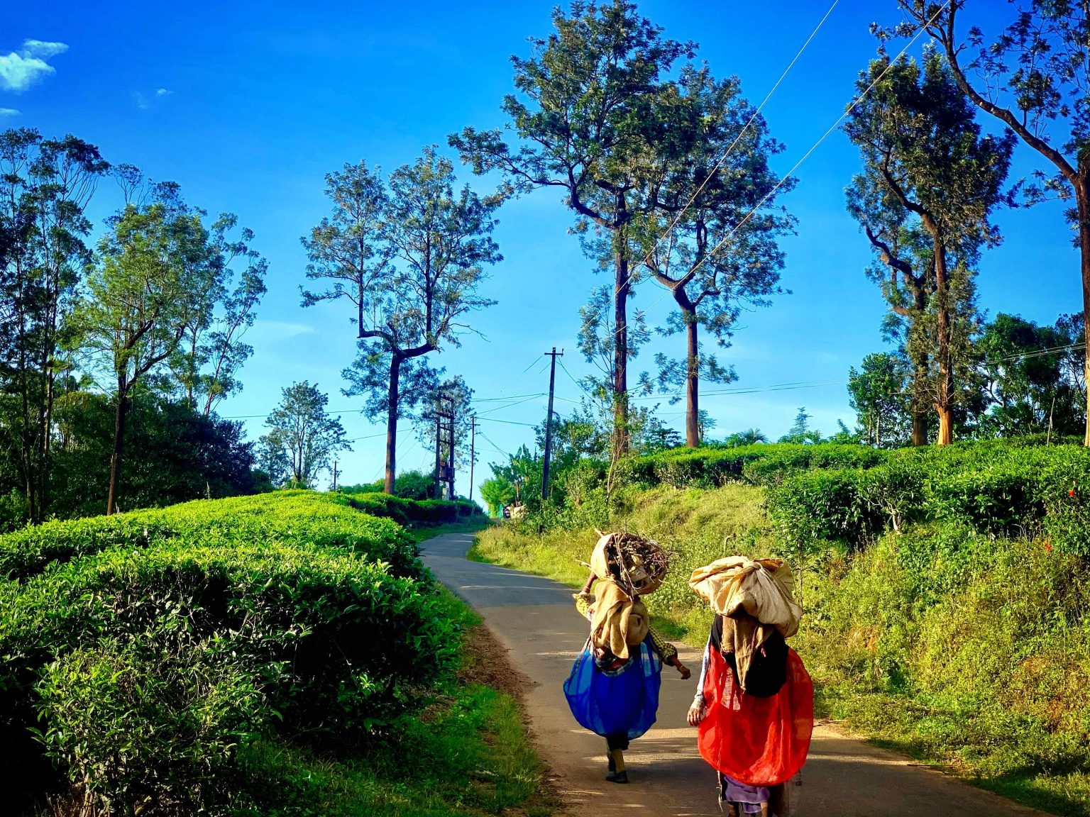 TRIBALS OF WAYANAD Stock Photo - Alamy