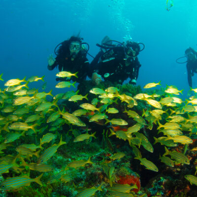 kovalam scuba diving